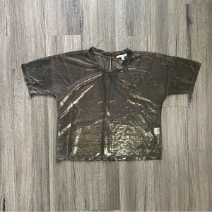 Sheer Metallic Top